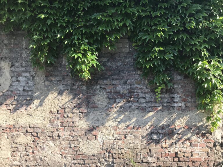 Zerbrechliches Leben – Verwundbarkeit und Heilung