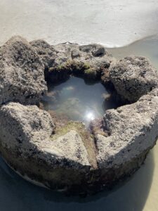 Songpredigt: Imagine. Zwei Träumer an der Schwelle zum neuen Jahr