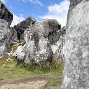 Wenn die Seelen-Landschaft wild wird