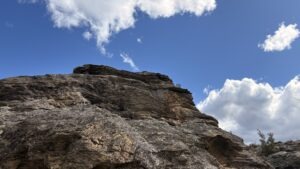 Wohin soll ich gehen? – Eine Predigt zu Psalm 139,7-12